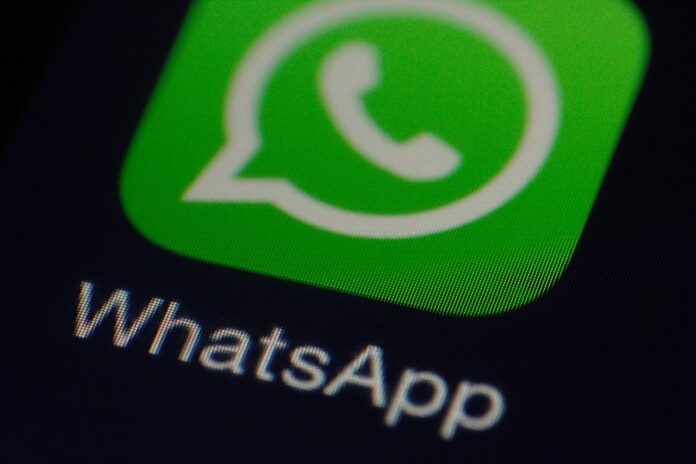 recuperare contacte whatsapp