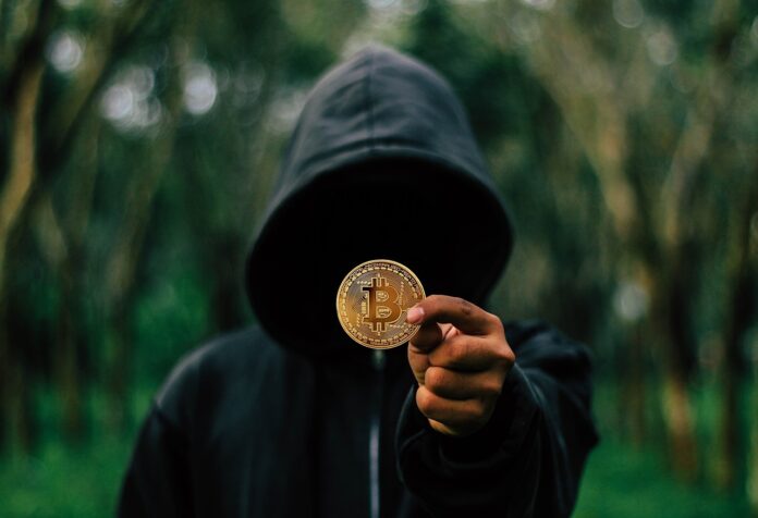top 10 criptomone in 2024