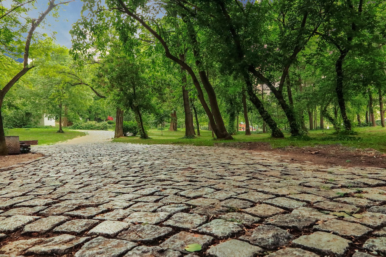 Surpriza pentru iubit idei originale care il vor impresiona