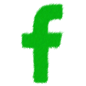 ce inseamna cont restrictionat pe facebook