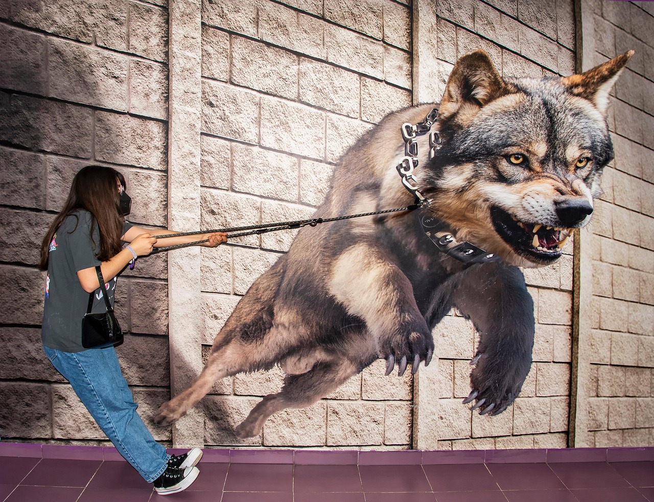 unde gasesc imaginile salvate in telefon